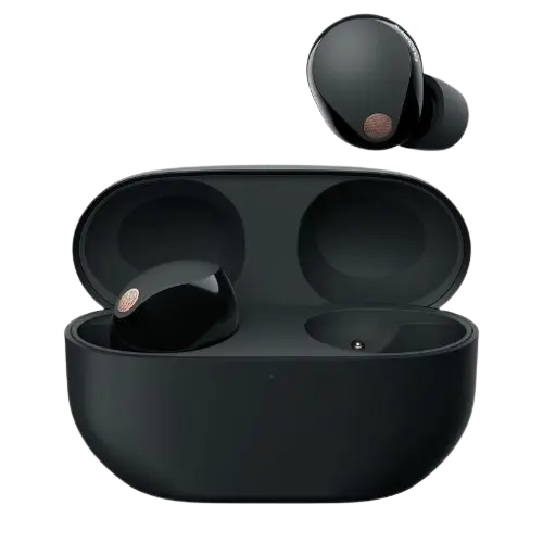 Sony WF-1000XM5 écouteurs sans Fil à réduction de Bruit, Bluetooth, Intra-Auriculaires avec Micro, 36 Heures d'autonomie, Charge Rapide, IPX4, Compatible iOS et Android - Noir